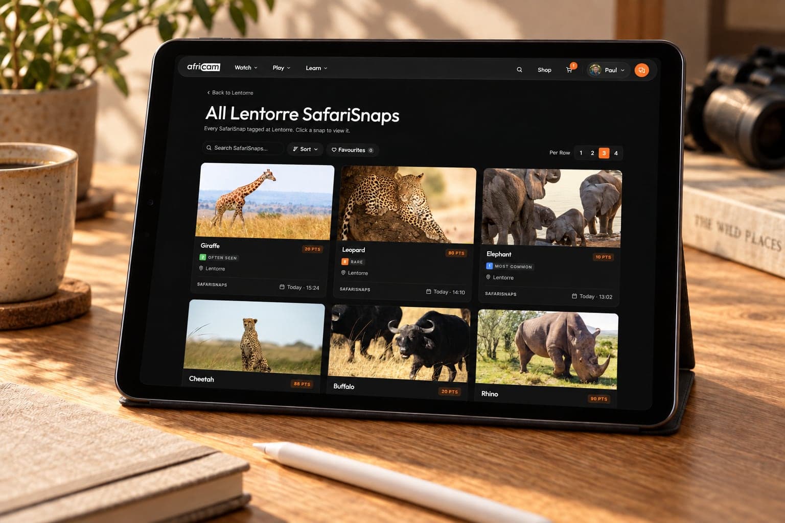 SafariSnaps on a tablet
