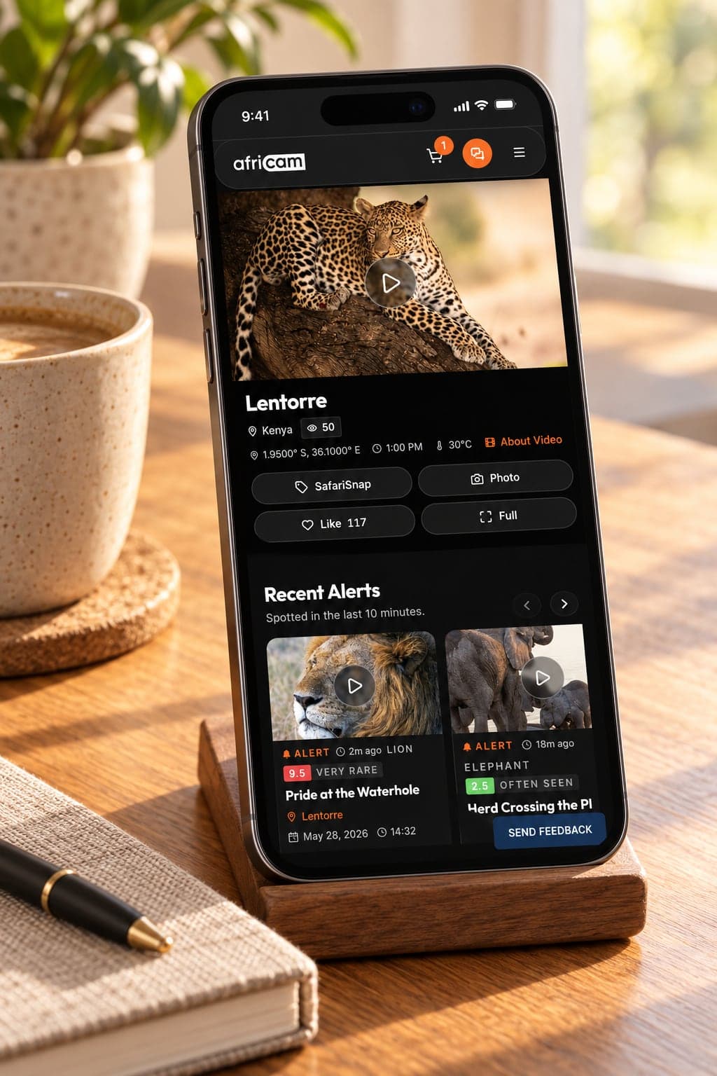 A live stream and recent alerts on a phone