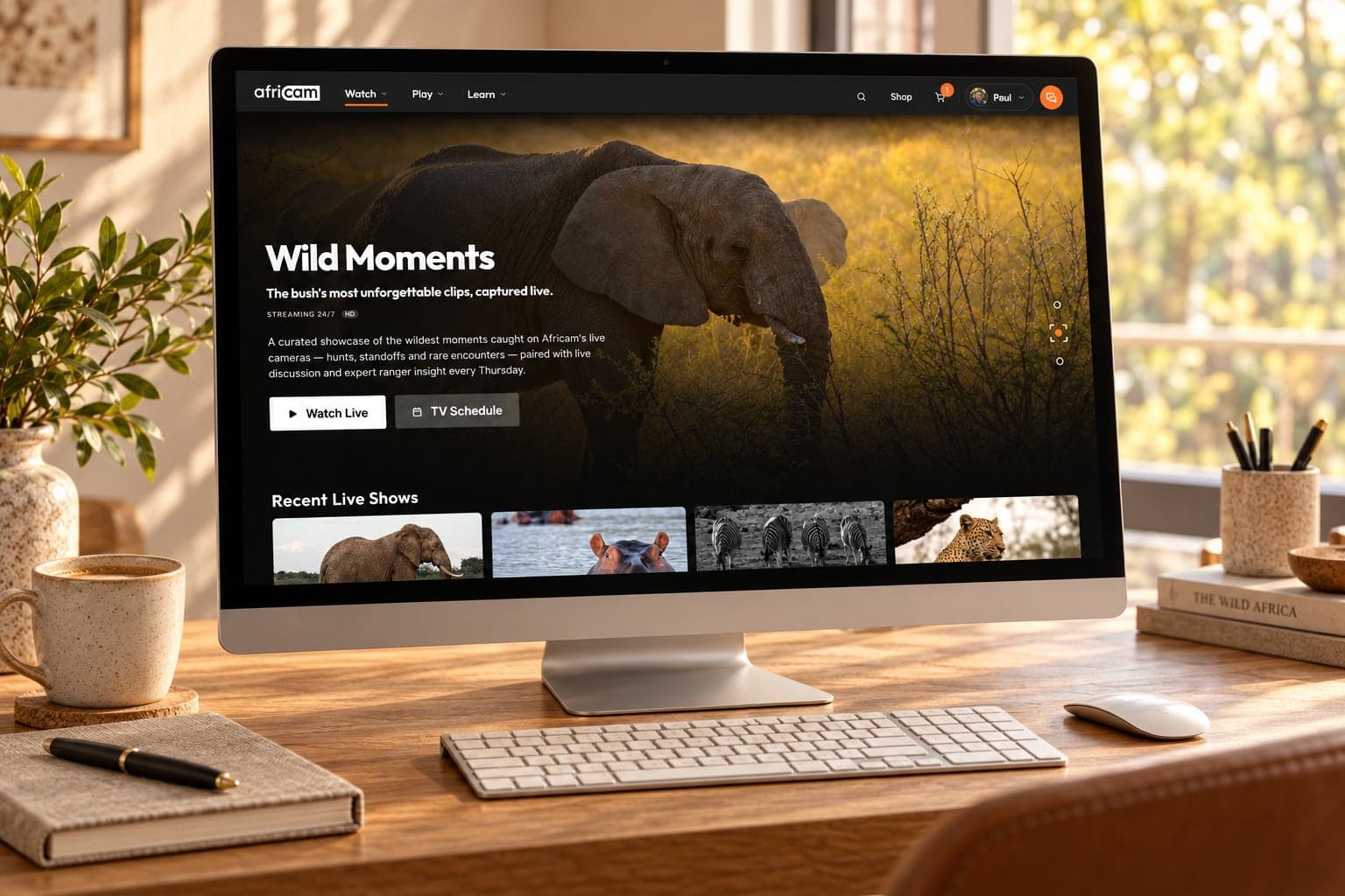 Africam Wild Moments on a desktop