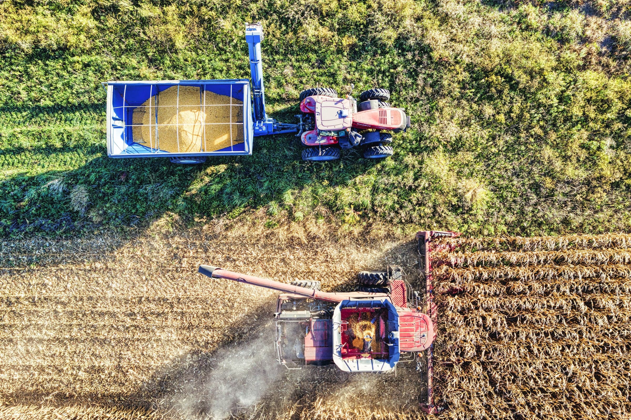 Harvesters in a field from above